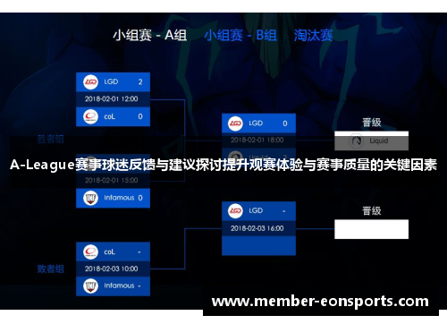 A-League赛事球迷反馈与建议探讨提升观赛体验与赛事质量的关键因素