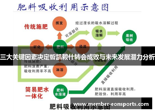 三大关键因素决定哲凯赖什转会成败与未来发展潜力分析