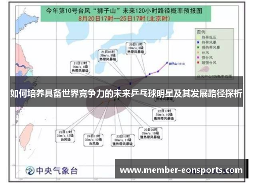 如何培养具备世界竞争力的未来乒乓球明星及其发展路径探析