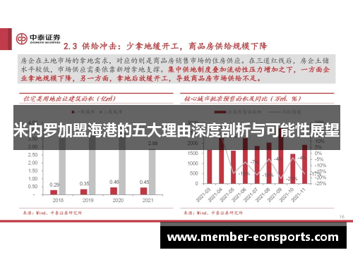 米内罗加盟海港的五大理由深度剖析与可能性展望