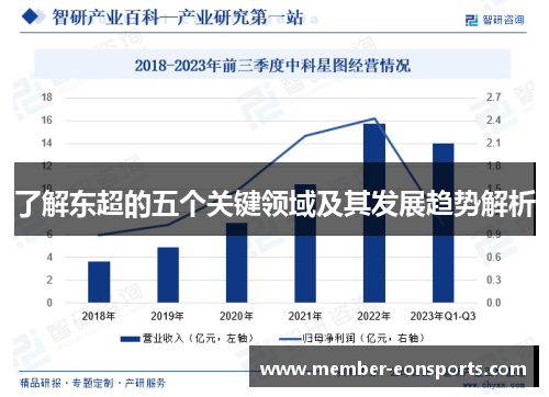 了解东超的五个关键领域及其发展趋势解析