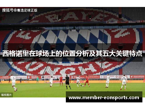 西格诺里在球场上的位置分析及其五大关键特点
