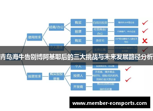 青岛海牛告别博阿基耶后的三大挑战与未来发展路径分析